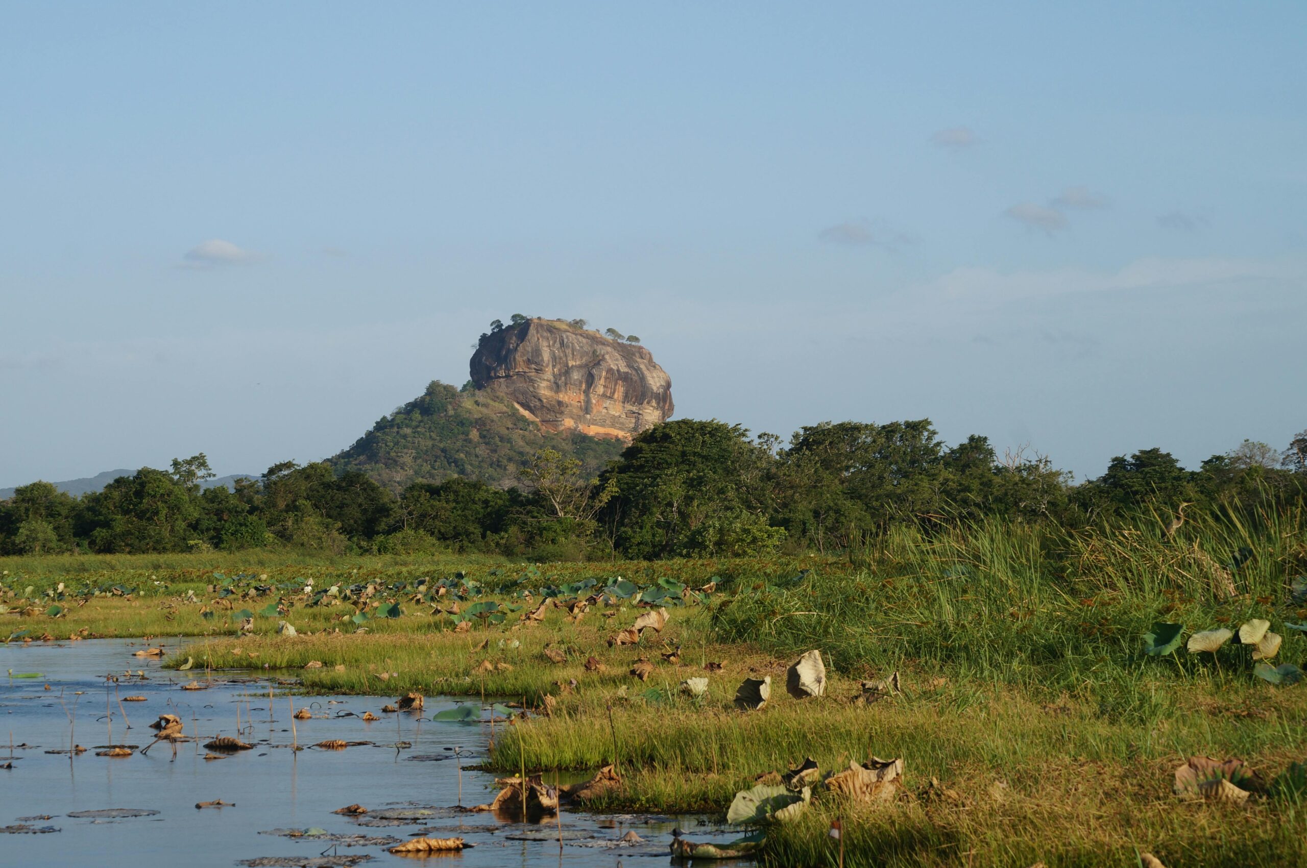 Lion Rock Ceylon Tours Habarana one‑day safari featuring elephants, Sigiriya, and village experiences in Sri Lanka.