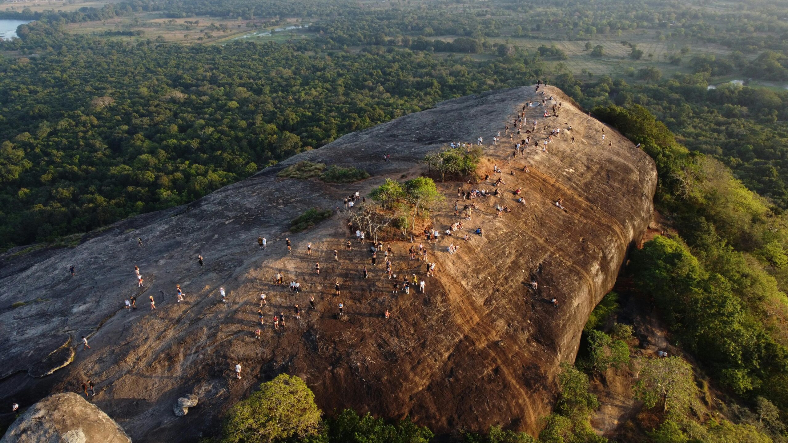 Lion Rock Ceylon Tours Pidurangala Rock experience featuring panoramic views of Sigiriya and surrounding forests in Sri Lanka.