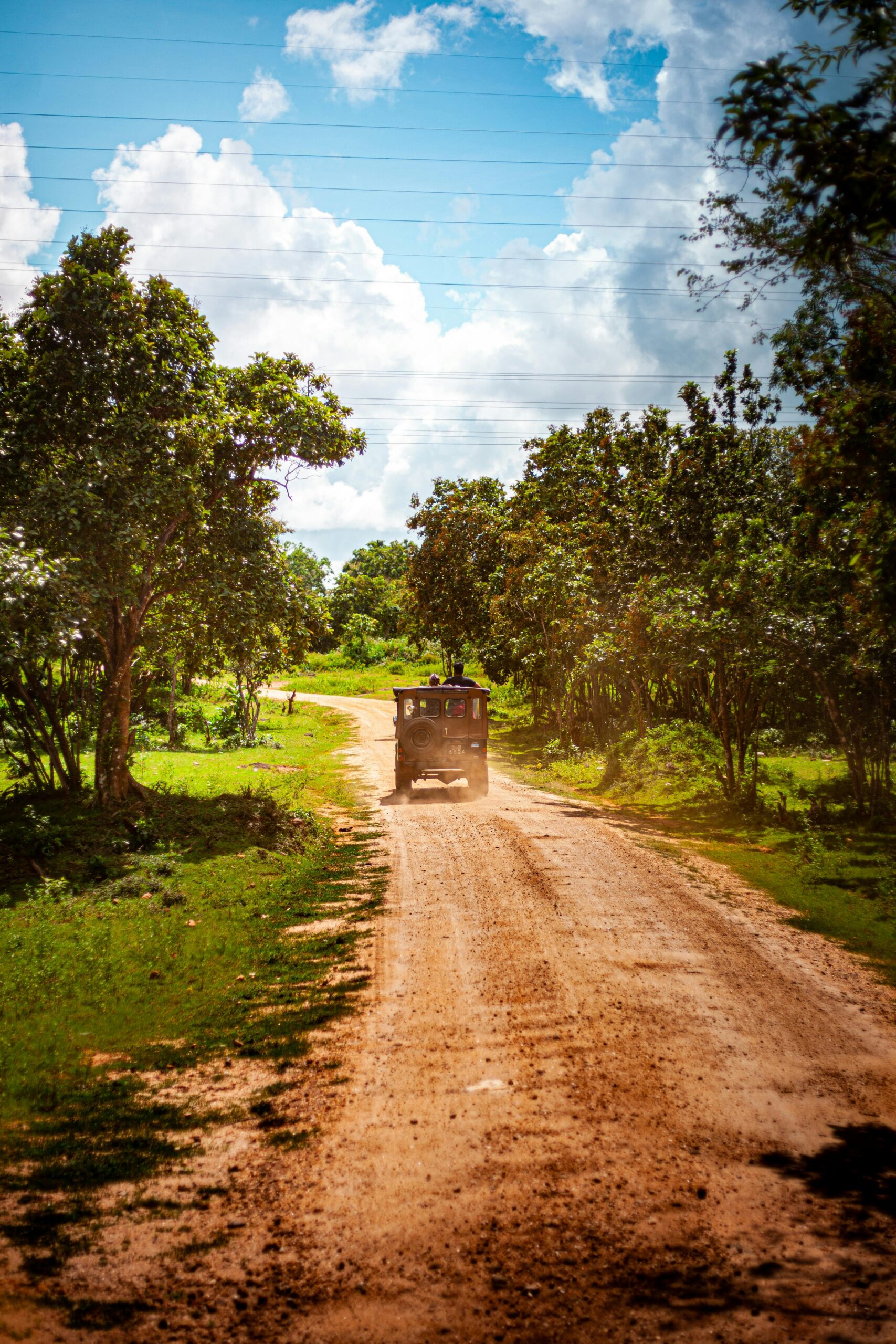 Lion Rock Ceylon Tours Yala safari featuring leopards, elephants, and exotic birds in Sri Lanka’s national park.